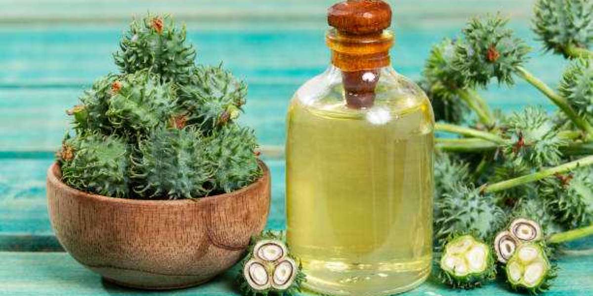 Castor Oil Market Analysis by Type, Application, and Regional Outlook 2025-2035