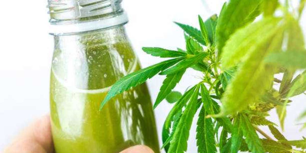 Cannabidiol Drinks Market Competitive Landscape Study