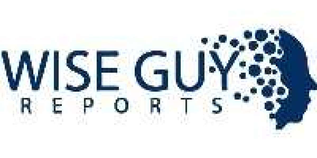 Early Bag Storage System Market Size, Share, and Competitive Landscape